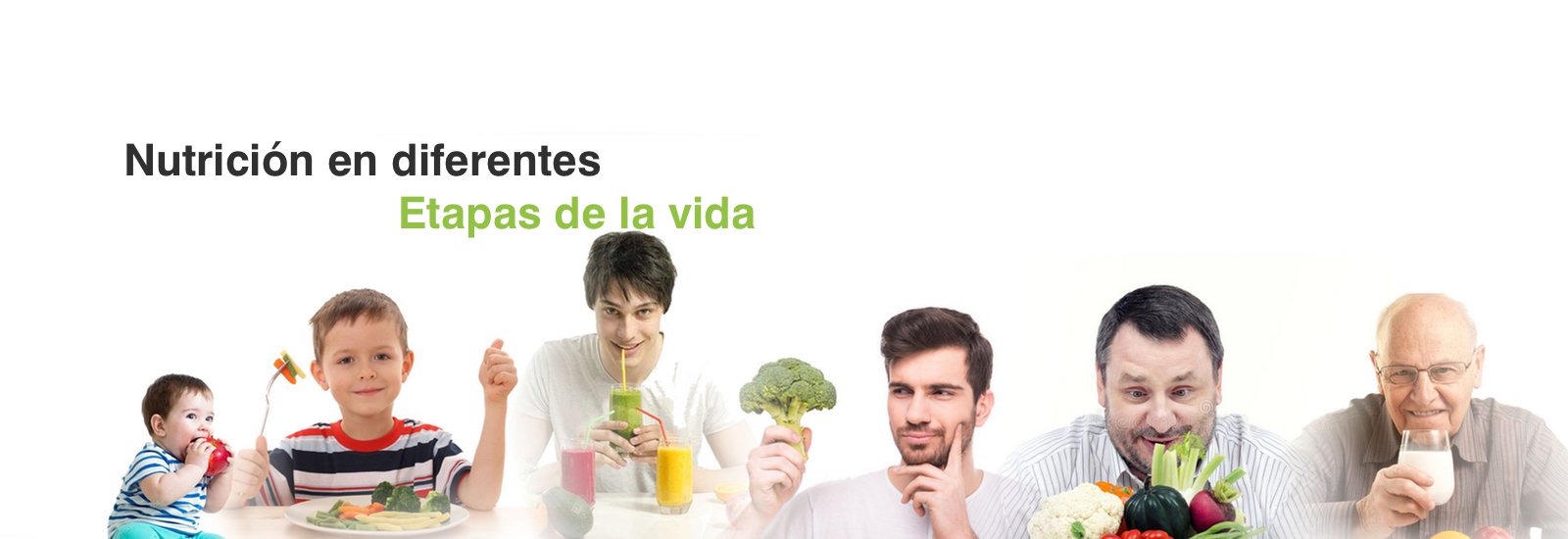 Nutrición en Diferntes Etapas de la Vida